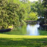Apopka
